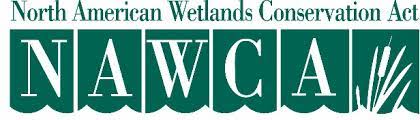 NAWCA Green logo for the North American Wetlands Conservation Act.