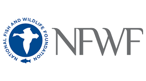NFWF Logo Logo for the National Fish and Wildlife Foundation.