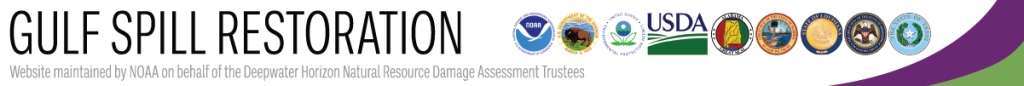 NRDA_gulf spill Header for the Gulf Spill Restoration Site